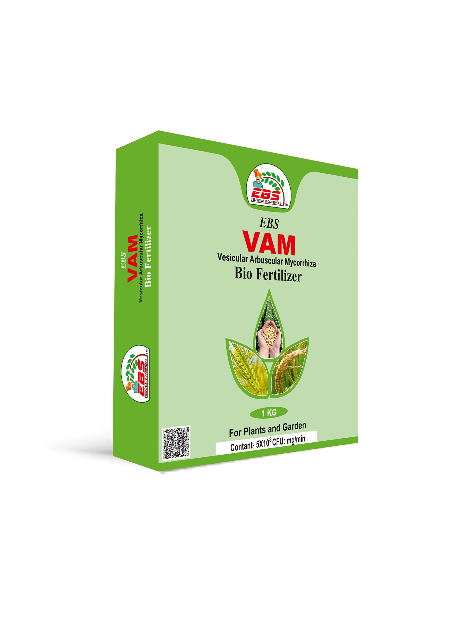 EBS VAM (Vesicular Arbuscular Mycorrhiza)